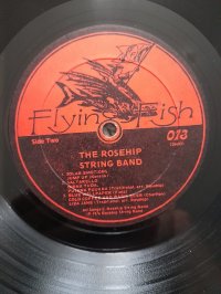 THE ROSEHIP STRING BAND  