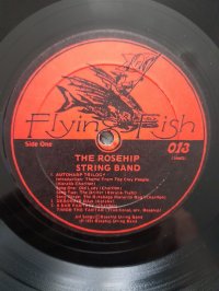 THE ROSEHIP STRING BAND  