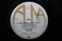 BUDGIE * 1 PRESS!!!! BUDGIE * 1 PRESS!!!!