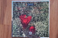 EAGLES * reissue 1975 EAGLES * reissue 1975