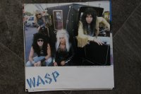 W.A.S.P. (wasp) TOP CONDITION!!!!! W.A.S.P. (wasp) TOP CONDITION!!!!!