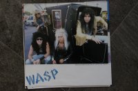 W.A.S.P.  (wasp)  TOP CONDITION!!!!! 