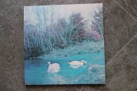 AFFINITY (reissue unknown) TOP CONDITION!!!!!!!! AFFINITY (reissue unknown) TOP CONDITION!!!!!!!!