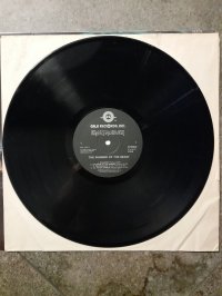 IRON MAIDEN IRON MAIDEN