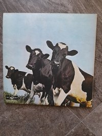 PINK FLOYD * 1 press!!!! * 1st ISSUE !!!!! PINK FLOYD * 1 press!!!! * 1st ISSUE !!!!!