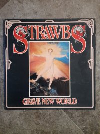STRAWBS * 1 PRESS!!!!! ( ex - RICK WAKEMAN) project STRAWBS * 1 PRESS!!!!! ( ex - RICK WAKEMAN) project