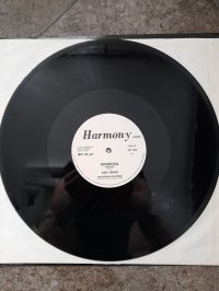 JOEY MOON single 12", 33 ⅓ RPM project Roberto Zanetti (SAVAGE) JOEY MOON single 12", 33 ⅓ RPM project Roberto Zanetti (SAVAGE)