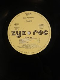 FAKE FAKE