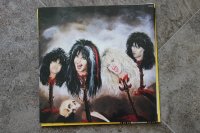 W.A.S.P.  (wasp)  TOP CONDITION!!!!!