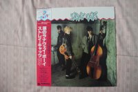 STRAY CATS * 1 press!!!!