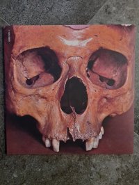 STILL LIFE Unofficial Release TOP CONDITION!!! STILL LIFE Unofficial Release TOP CONDITION!!!