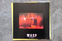 W.A.S.P.  (wasp)  TOP CONDITION!!!!!