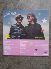 LAID BACK meshok LAID BACK meshok