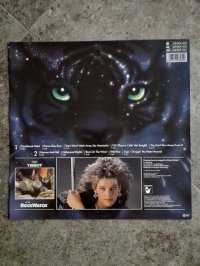 C.C. CATCH top condition!!!! C.C. CATCH top condition!!!!