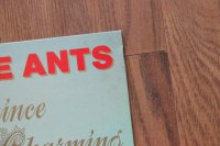 ADAM AND THE ANTS ADAM AND THE ANTS
