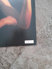 BILLY IDOL PROMO COPY!! BILLY IDOL PROMO COPY!!