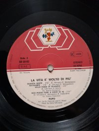 PUPO PUPO
