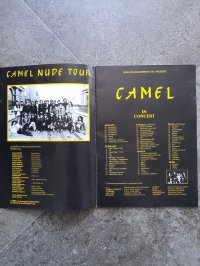 CAMEL CAMEL
