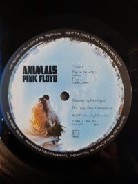 PINK FLOYD * 1 PRESS!!!! * The dream for everyone!!!!! PINK FLOYD * 1 PRESS!!!! * The dream for everyone!!!!!