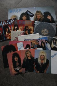 W.A.S.P. (wasp) TOP CONDITION!!!!! W.A.S.P. (wasp) TOP CONDITION!!!!!