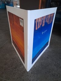 WINGS * Paul McCARTNEY * 1 press!!!!!!!!! * TOP CONDITION!!!!! WINGS * Paul McCARTNEY * 1 press!!!!!!!!! * TOP CONDITION!!!!!
