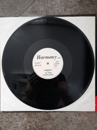 JOEY MOON single 12", 33 ⅓ RPM project Roberto Zanetti (SAVAGE) JOEY MOON single 12", 33 ⅓ RPM project Roberto Zanetti (SAVAGE)