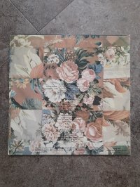 THE ROSEHIP STRING BAND  