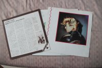 STRAY CATS * 1 press!!!! STRAY CATS * 1 press!!!!