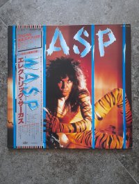 W.A.S.P.  (wasp)  TOP CONDITION!!!!! 