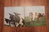 PINK FLOYD * 1 press!!!! * 1st ISSUE !!!!! PINK FLOYD * 1 press!!!! * 1st ISSUE !!!!!