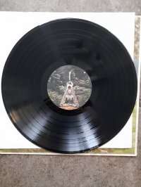 VIRGINIA TREE  * REISSUE 2000