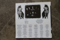 MOONSPELL * 1 press!!!!! * TOP CONDITION!!!! MOONSPELL * 1 press!!!!! * TOP CONDITION!!!!