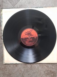 THE ROSEHIP STRING BAND  